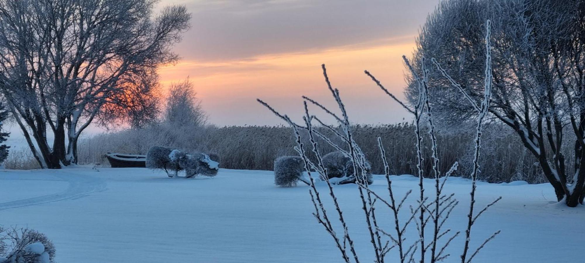 Apartamento Joesuu Puhkemaja Saunamaja Verevi Exterior foto